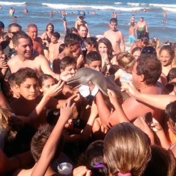 Selfies de animais