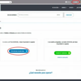 O novo Proprietário deverá inserir Nic.Ar para receber o domínio