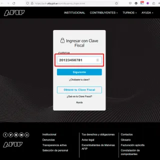 Login AFIP