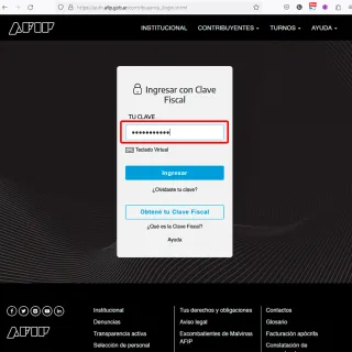 Login AFIP