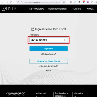Login AFIP