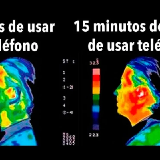 O que está sendo feito como prevenção?