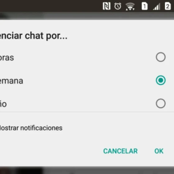 Silêncio irritante