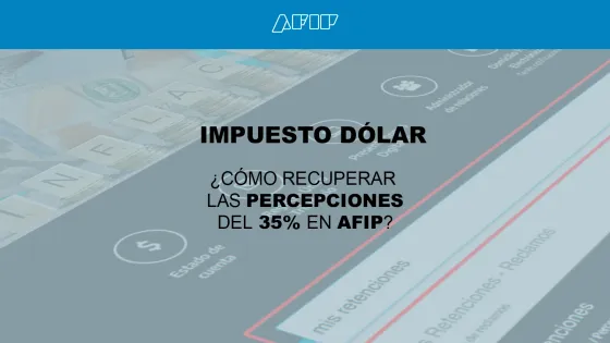 Imposto em Dólar: Como Recuperar a Retenção na Fonte da AFIP?
